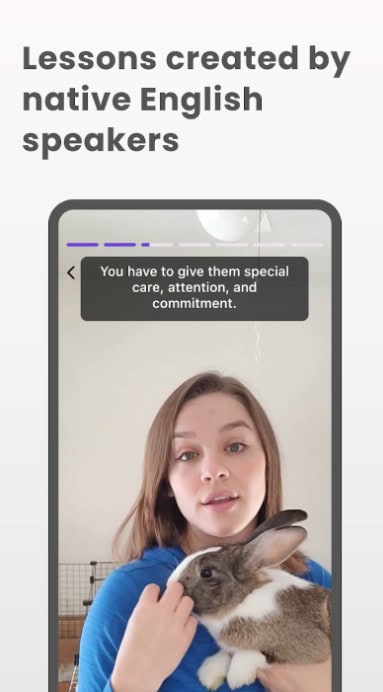 pingolearn-premium-mod-apk